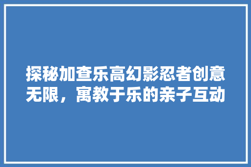 探秘加查乐高幻影忍者创意无限，寓教于乐的亲子互动新选择