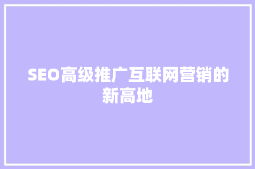 SEO高级推广互联网营销的新高地