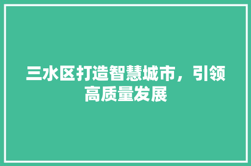 三水区打造智慧城市，引领高质量发展