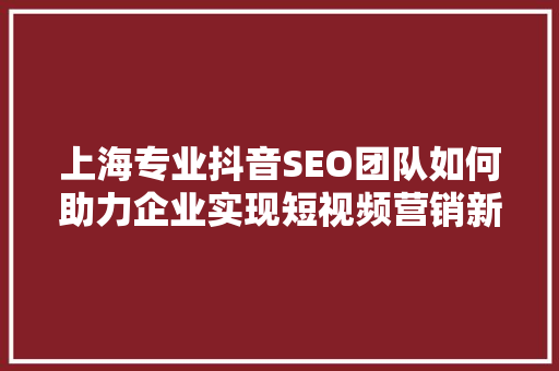 上海专业抖音SEO团队如何助力企业实现短视频营销新突破