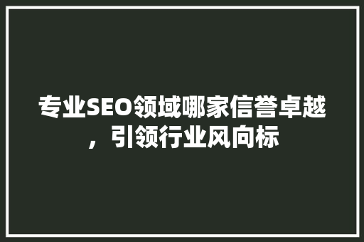 专业SEO领域哪家信誉卓越，引领行业风向标