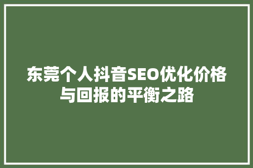 东莞个人抖音SEO优化价格与回报的平衡之路