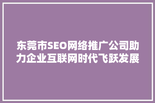 东莞市SEO网络推广公司助力企业互联网时代飞跃发展