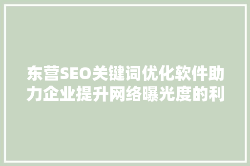 东营SEO关键词优化软件助力企业提升网络曝光度的利器