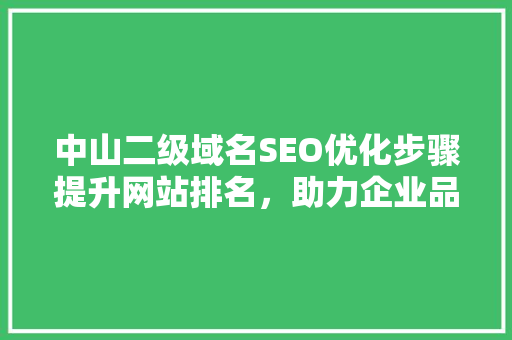 中山二级域名SEO优化步骤提升网站排名，助力企业品牌发展