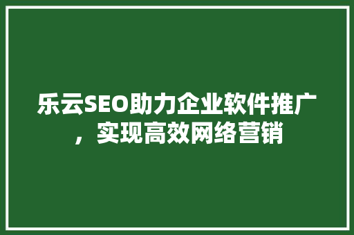 乐云SEO助力企业软件推广，实现高效网络营销