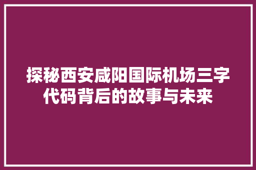 探秘西安咸阳国际机场三字代码背后的故事与未来