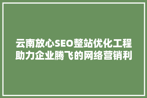 云南放心SEO整站优化工程助力企业腾飞的网络营销利器