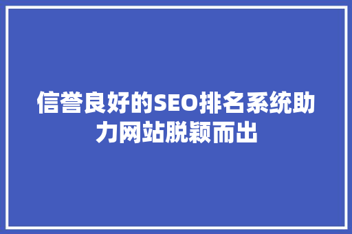 信誉良好的SEO排名系统助力网站脱颖而出