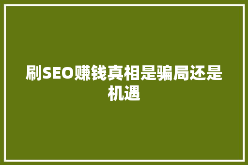 刷SEO赚钱真相是骗局还是机遇
