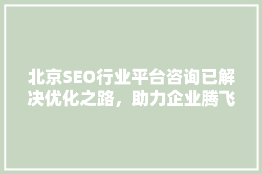 北京SEO行业平台咨询已解决优化之路，助力企业腾飞