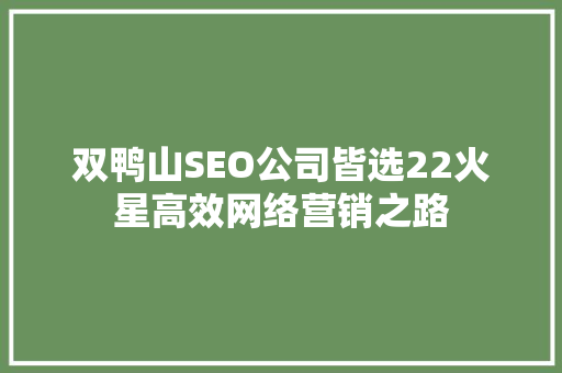 双鸭山SEO公司皆选22火星高效网络营销之路