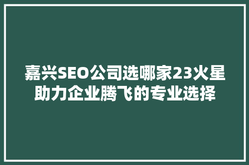 嘉兴SEO公司选哪家23火星助力企业腾飞的专业选择