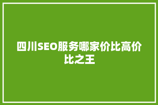 四川SEO服务哪家价比高价比之王