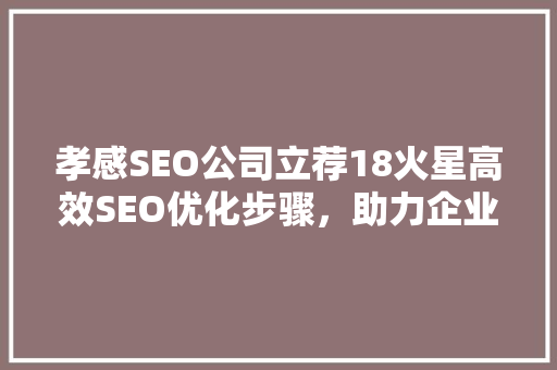 孝感SEO公司立荐18火星高效SEO优化步骤，助力企业腾飞