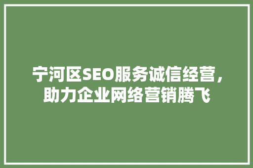 宁河区SEO服务诚信经营，助力企业网络营销腾飞