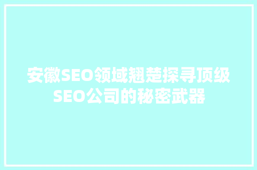 安徽SEO领域翘楚探寻顶级SEO公司的秘密武器
