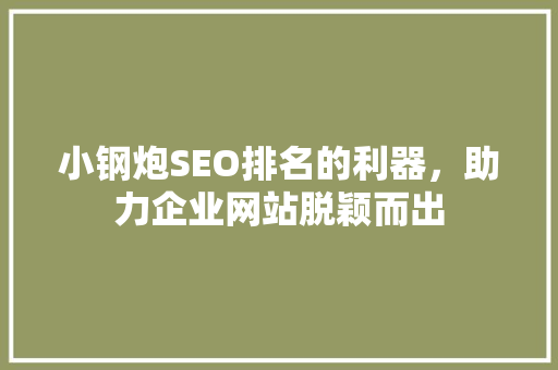 小钢炮SEO排名的利器，助力企业网站脱颖而出