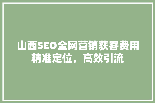 山西SEO全网营销获客费用精准定位，高效引流
