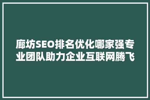 廊坊SEO排名优化哪家强专业团队助力企业互联网腾飞