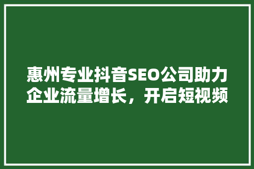 惠州专业抖音SEO公司助力企业流量增长，开启短视频营销新篇章