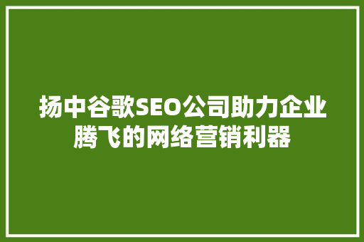 扬中谷歌SEO公司助力企业腾飞的网络营销利器