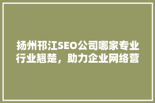 扬州邗江SEO公司哪家专业行业翘楚，助力企业网络营销腾飞