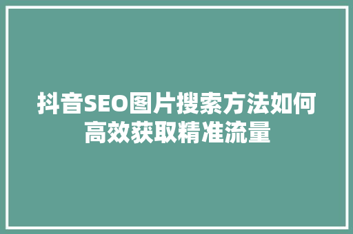 抖音SEO图片搜索方法如何高效获取精准流量