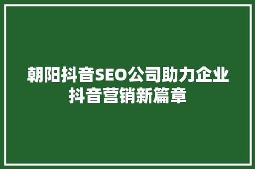 朝阳抖音SEO公司助力企业抖音营销新篇章