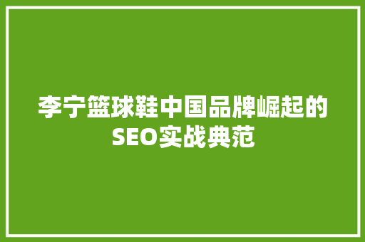 李宁篮球鞋中国品牌崛起的SEO实战典范