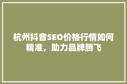 杭州抖音SEO价格行情如何精准，助力品牌腾飞