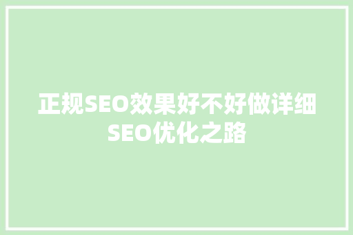 正规SEO效果好不好做详细SEO优化之路