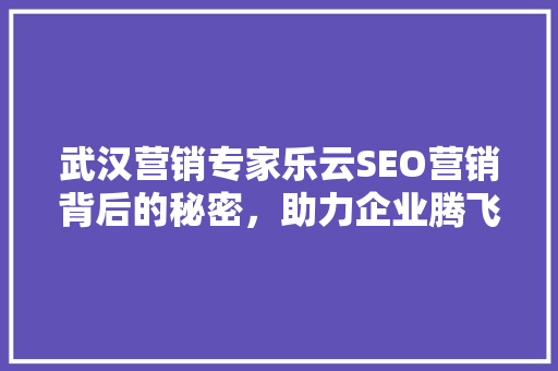 武汉营销专家乐云SEO营销背后的秘密，助力企业腾飞
