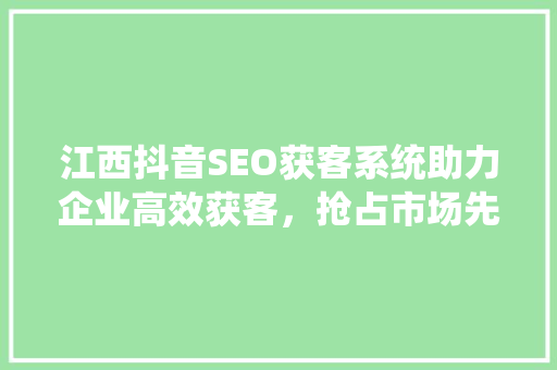 江西抖音SEO获客系统助力企业高效获客，抢占市场先机