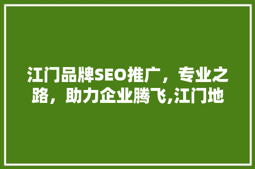 江门品牌SEO推广，专业之路，助力企业腾飞,江门地区最专业的SEO推广机构