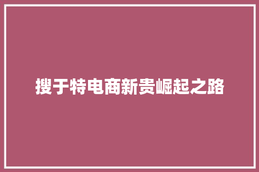 搜于特电商新贵崛起之路
