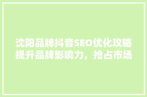 沈阳品牌抖音SEO优化攻略提升品牌影响力，抢占市场先机