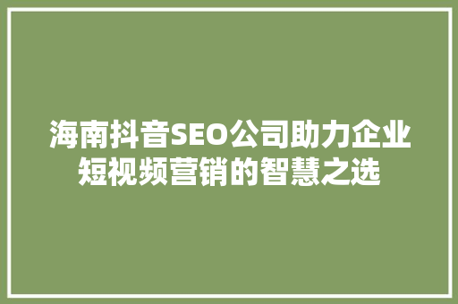 海南抖音SEO公司助力企业短视频营销的智慧之选