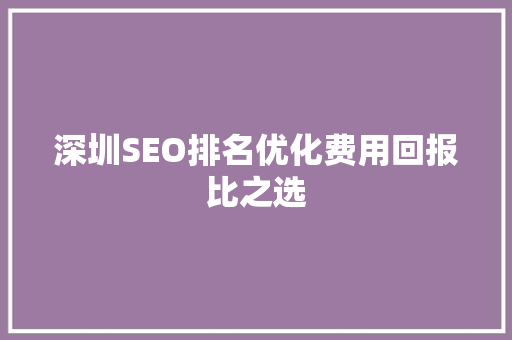 深圳SEO排名优化费用回报比之选
