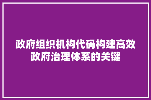 政府组织机构代码构建高效政府治理体系的关键
