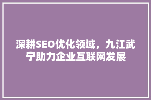 深耕SEO优化领域，九江武宁助力企业互联网发展