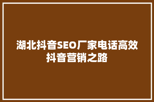 湖北抖音SEO厂家电话高效抖音营销之路