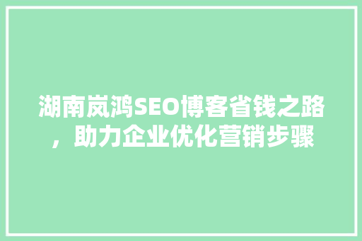 湖南岚鸿SEO博客省钱之路，助力企业优化营销步骤