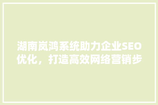 湖南岚鸿系统助力企业SEO优化，打造高效网络营销步骤