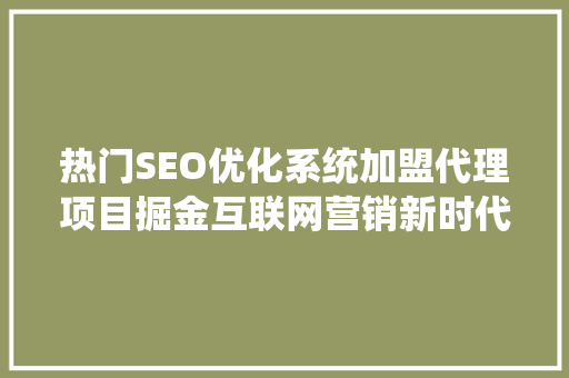 热门SEO优化系统加盟代理项目掘金互联网营销新时代