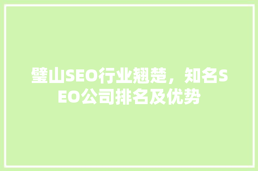 璧山SEO行业翘楚，知名SEO公司排名及优势