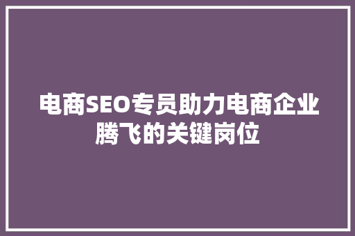 电商SEO专员助力电商企业腾飞的关键岗位