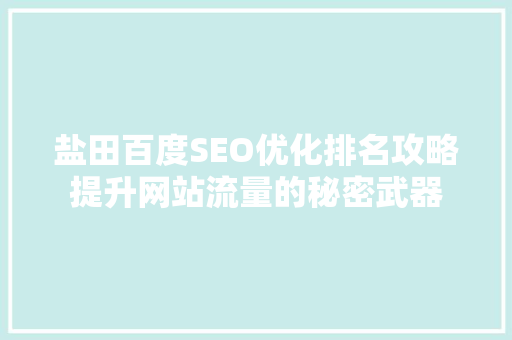 盐田百度SEO优化排名攻略提升网站流量的秘密武器
