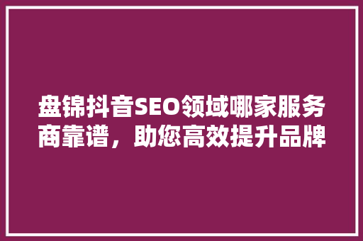 盘锦抖音SEO领域哪家服务商靠谱，助您高效提升品牌影响力