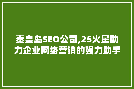 秦皇岛SEO公司,25火星助力企业网络营销的强力助手